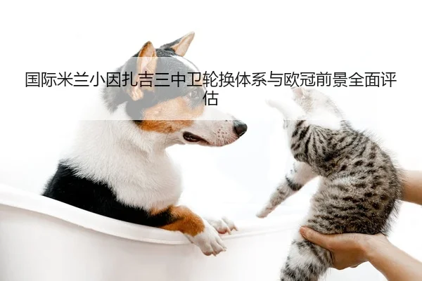 国际米兰小因扎吉三中卫轮换体系与欧冠前景全面评估 - kaiyun