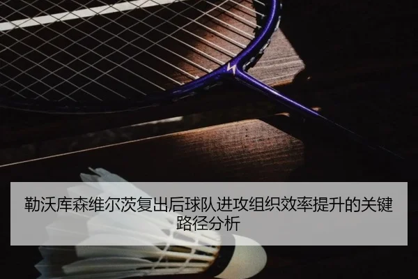 勒沃库森维尔茨复出后球队进攻组织效率提升的关键路径分析 - kaiyun