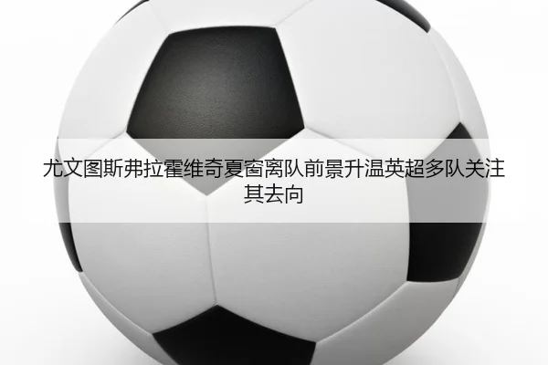 尤文图斯弗拉霍维奇夏窗离队前景升温英超多队关注其去向